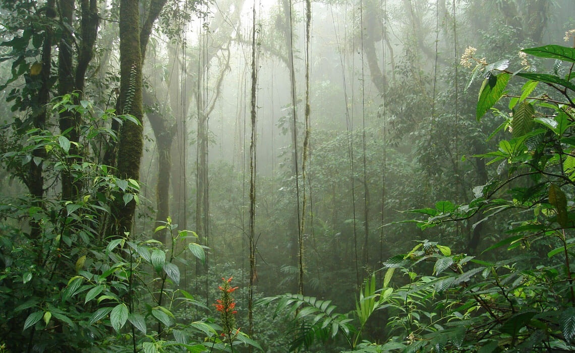 Imagen de viaje LAT.40