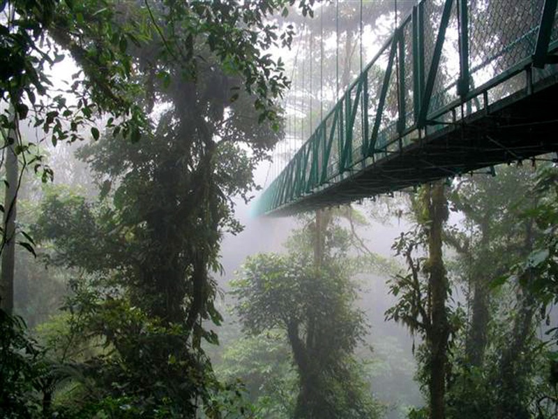 Imagen de viaje LAT.40