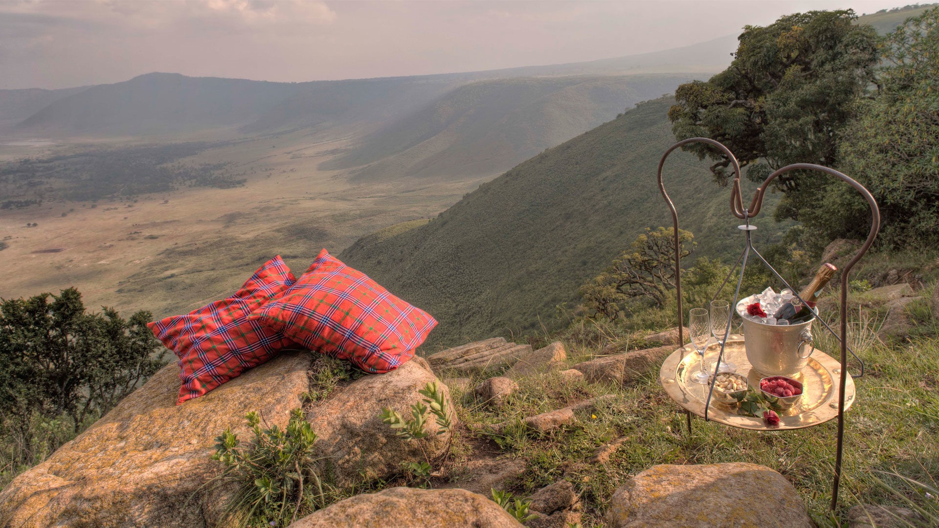 Ngorongoro | LAT.40