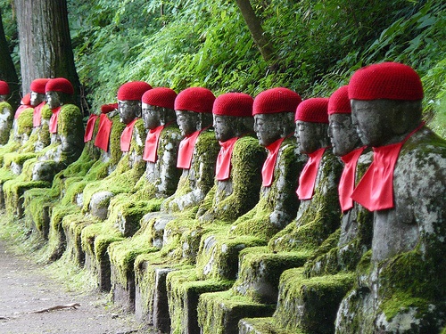 Nikko | LAT.40