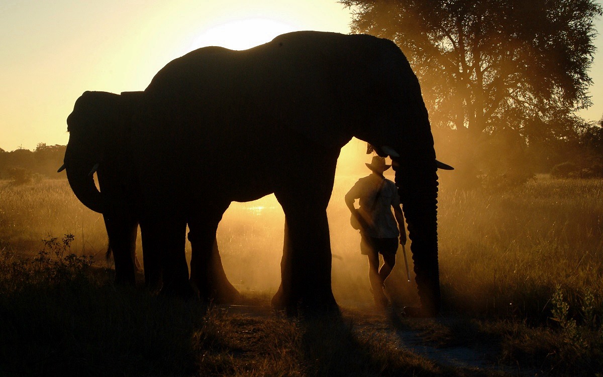 Sanctuary Baines en Delta Okavango