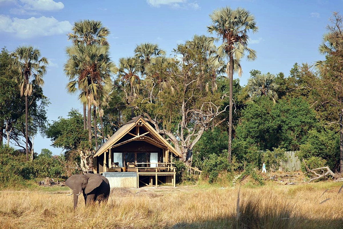 BELMOND EAGLE ISLAND LODGE en Delta Okavango