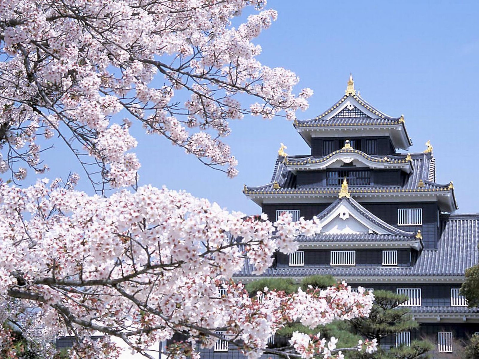 Okayama | LAT.40