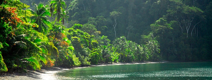 Osa Peninsula (Corcovado) | LAT.40