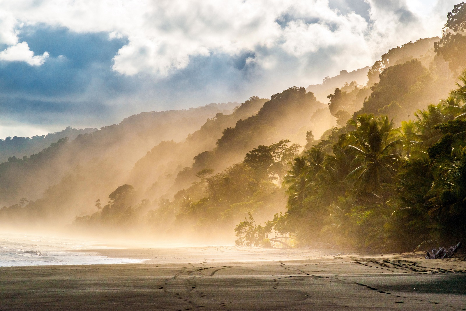 Osa Peninsula (Corcovado) | LAT.40