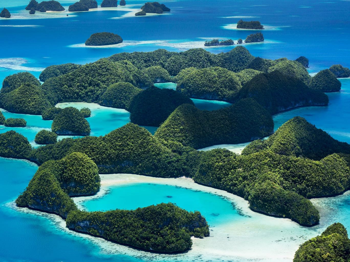Palau | LAT.40