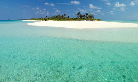 Pamalican Island | LAT.40