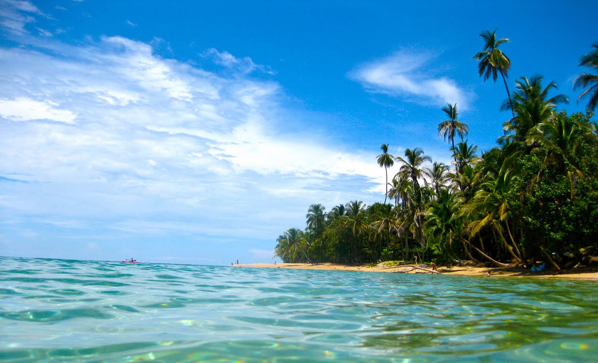 Parque Cahuita | LAT.40