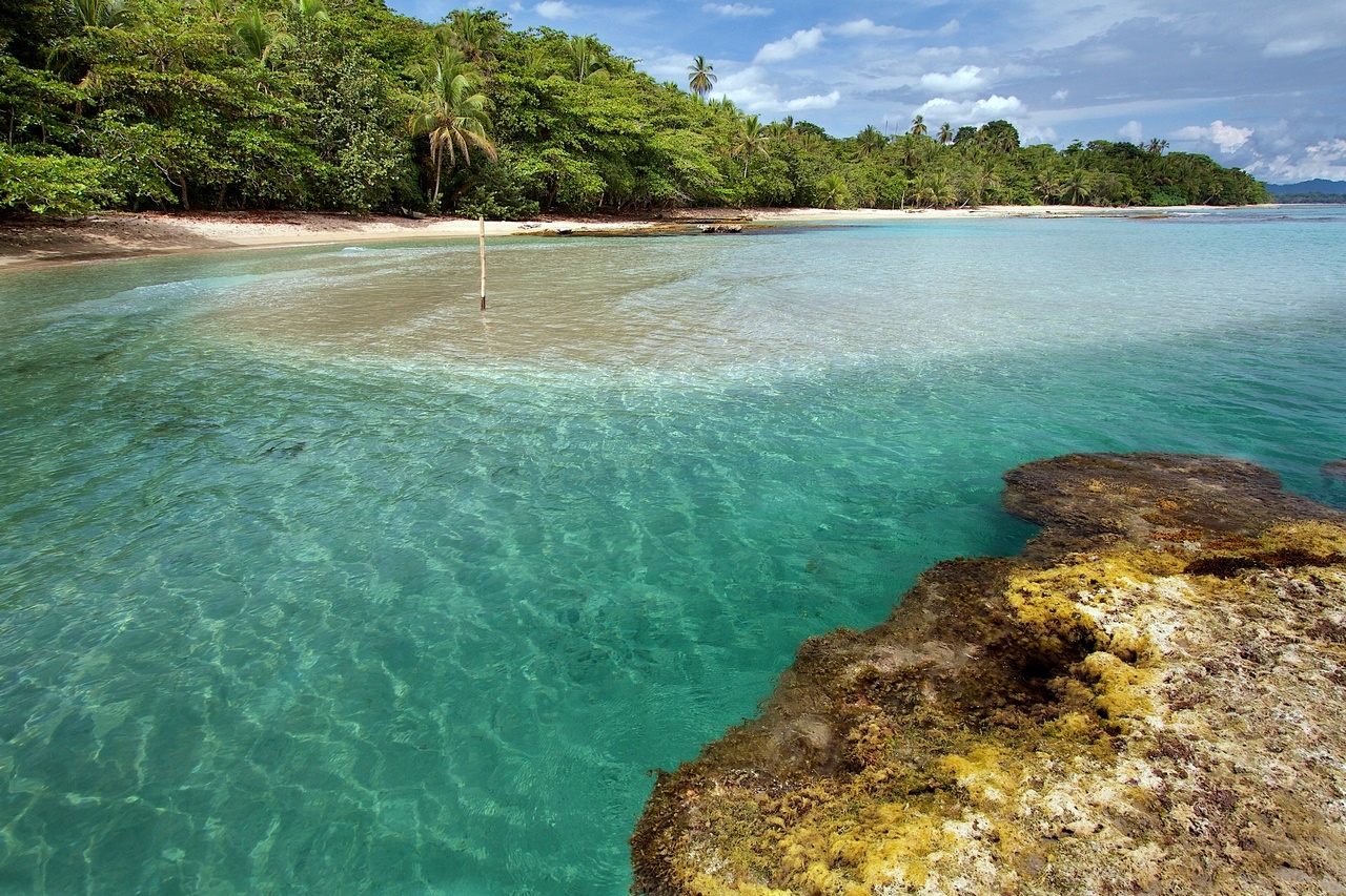 Parque Cahuita | LAT.40