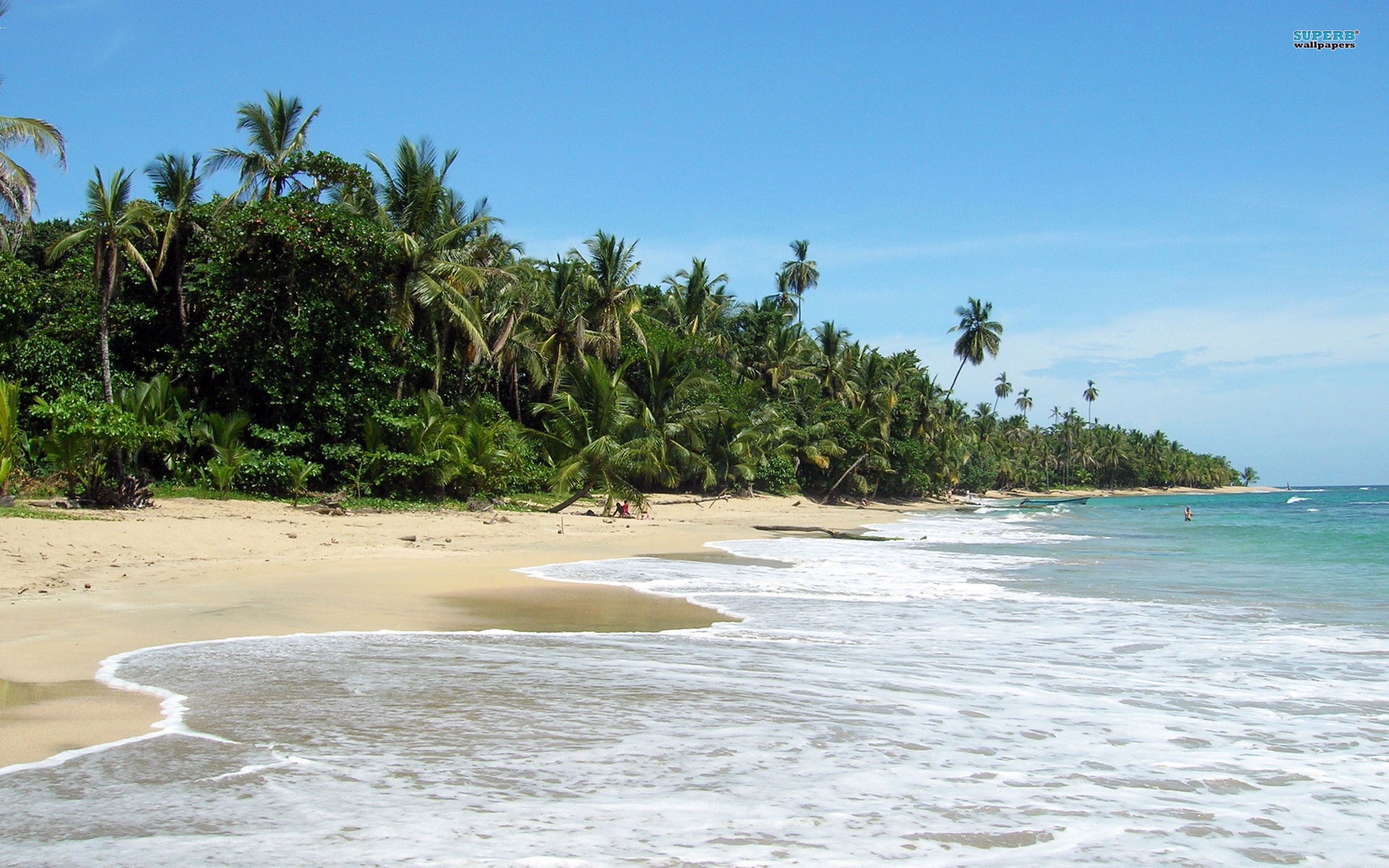 Parque Cahuita | LAT.40