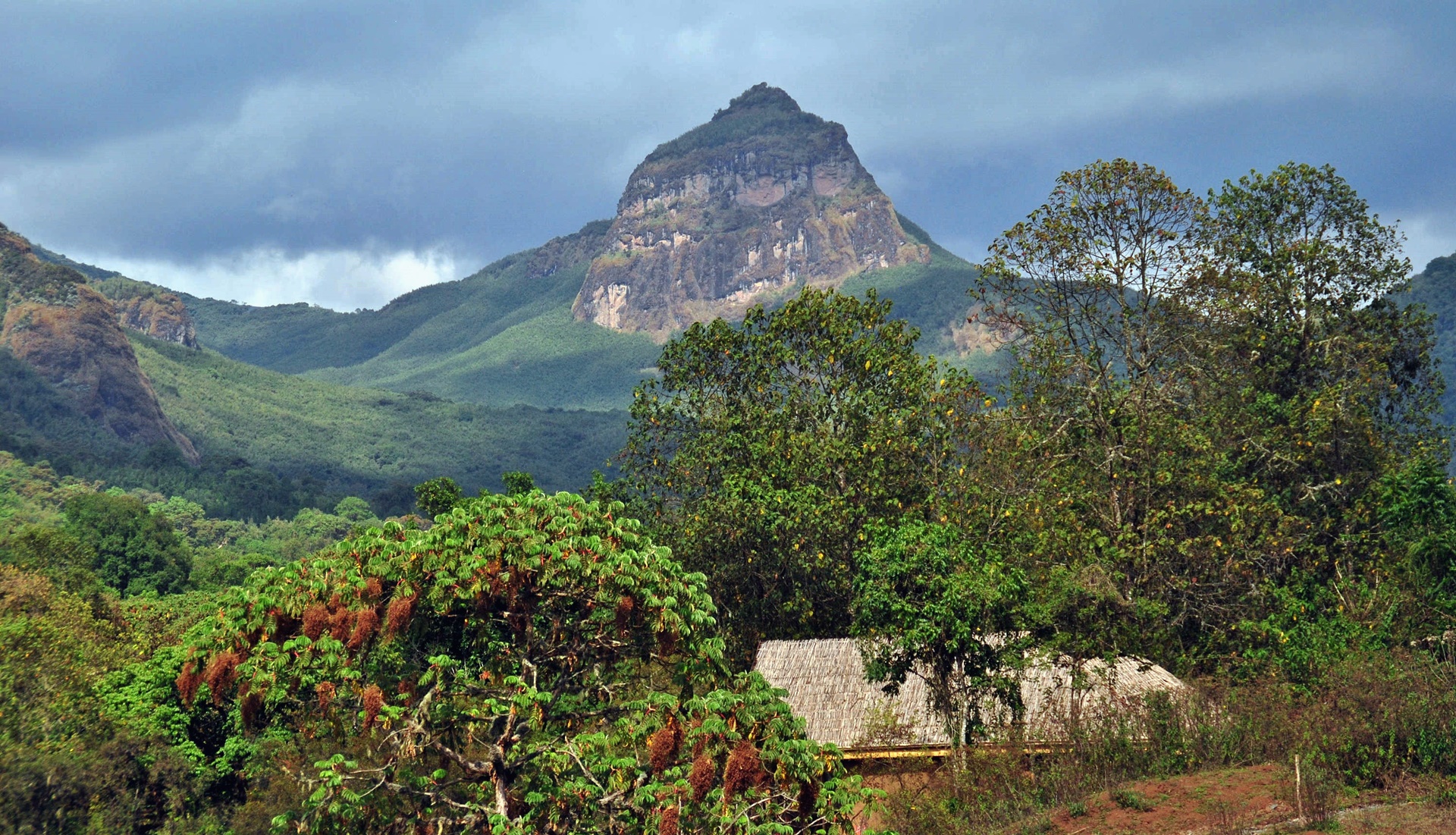 Parque Nacional del Monte Bale | LAT.40