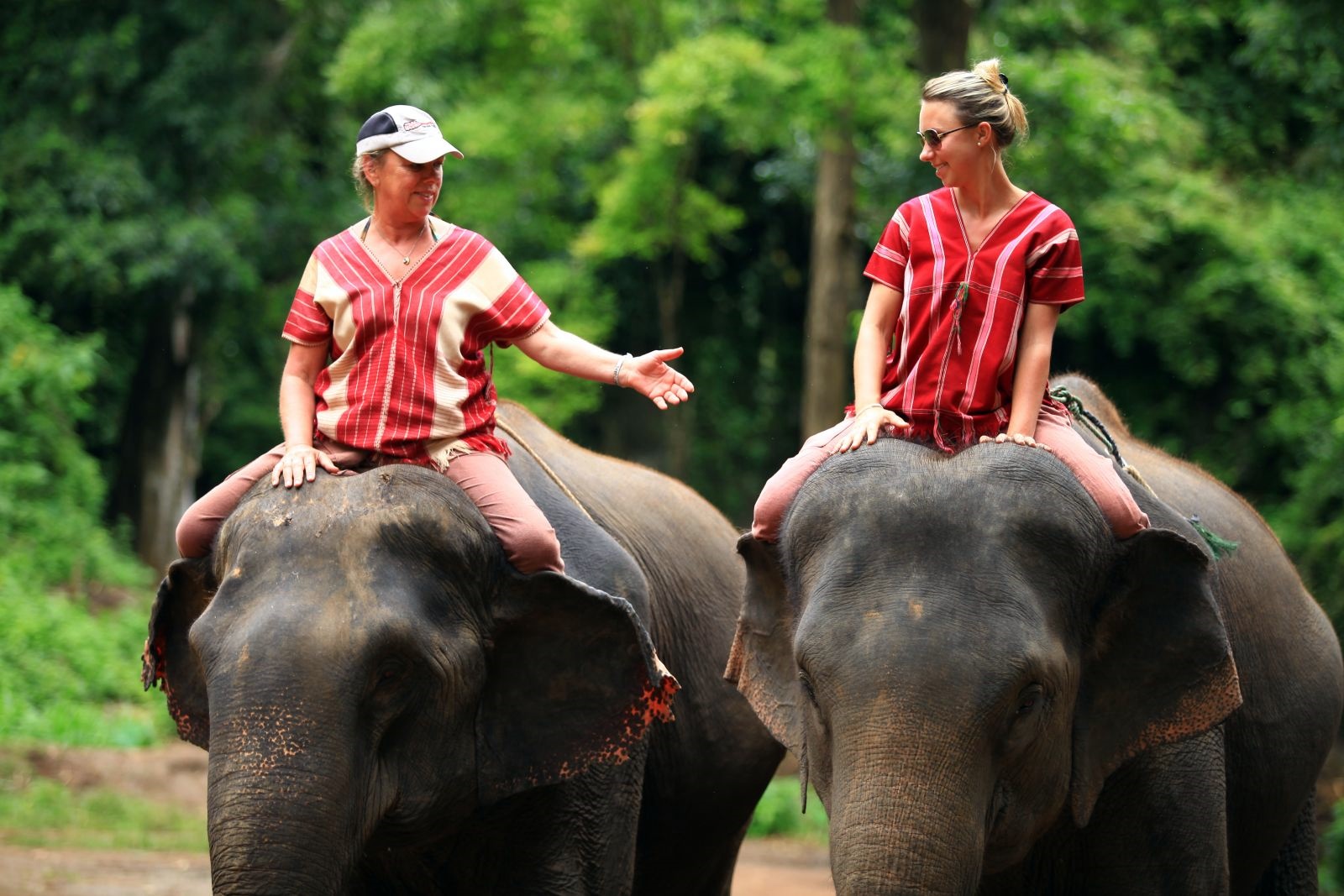 Patara Elephant Farm | LAT.40