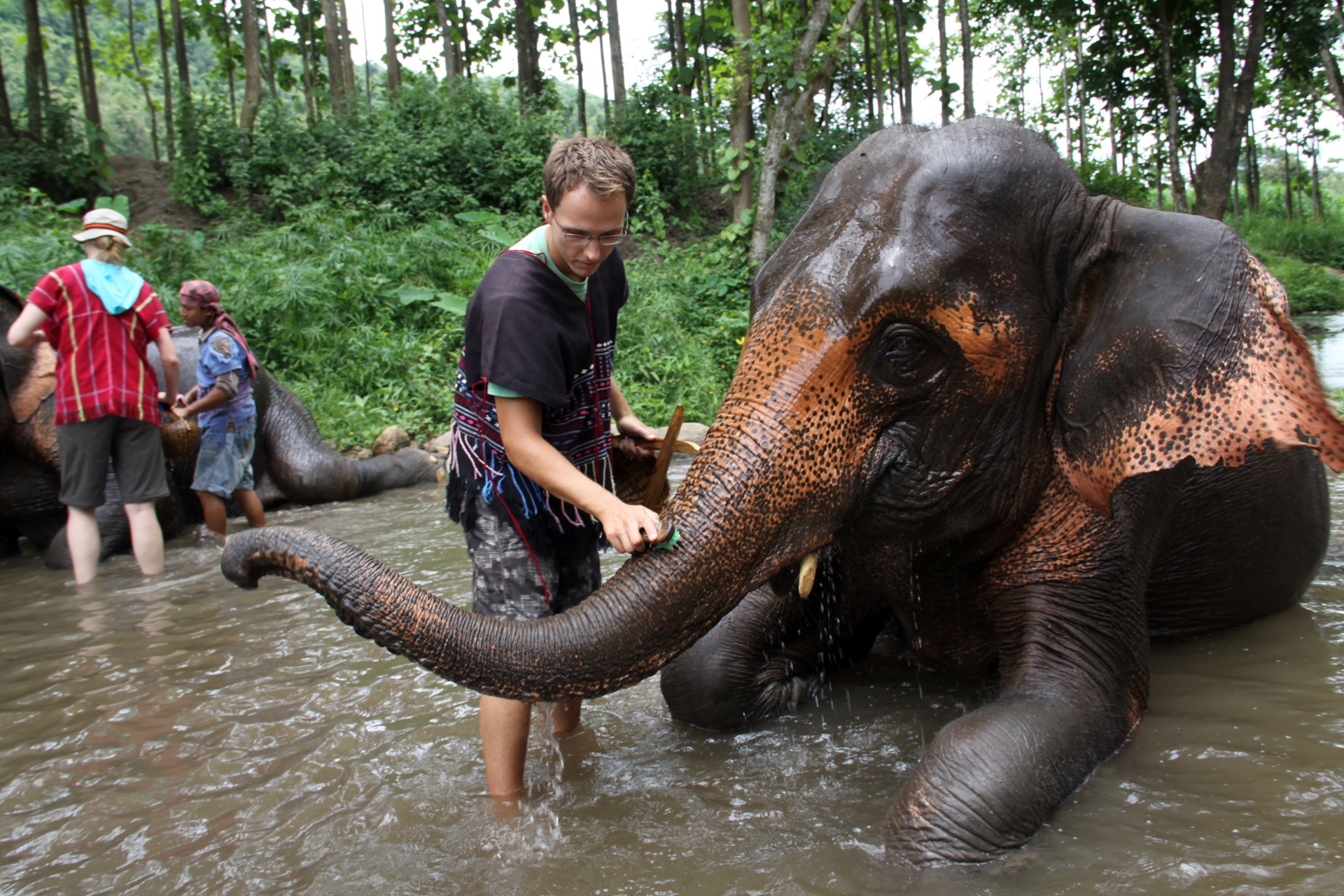 Patara Elephant Farm | LAT.40