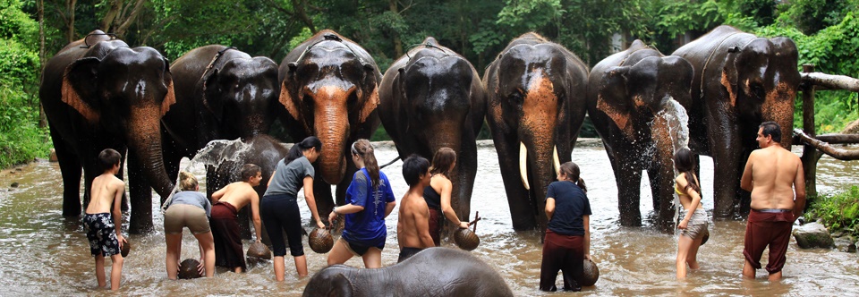 Patara Elephant Farm | LAT.40