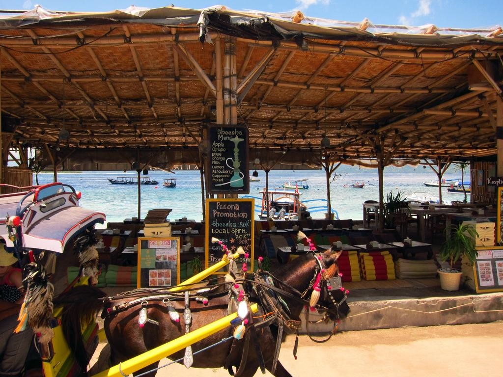 Imagen de viaje LAT.40