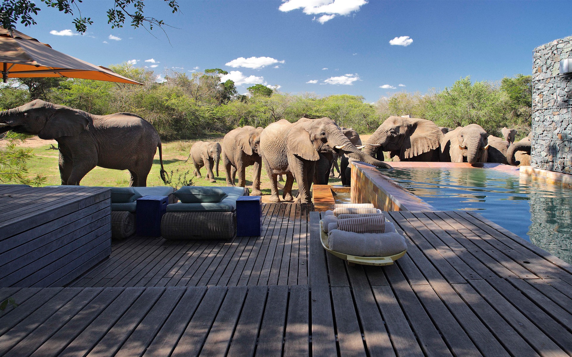 andBeyond Phinda Vlei Lodge en Phinda