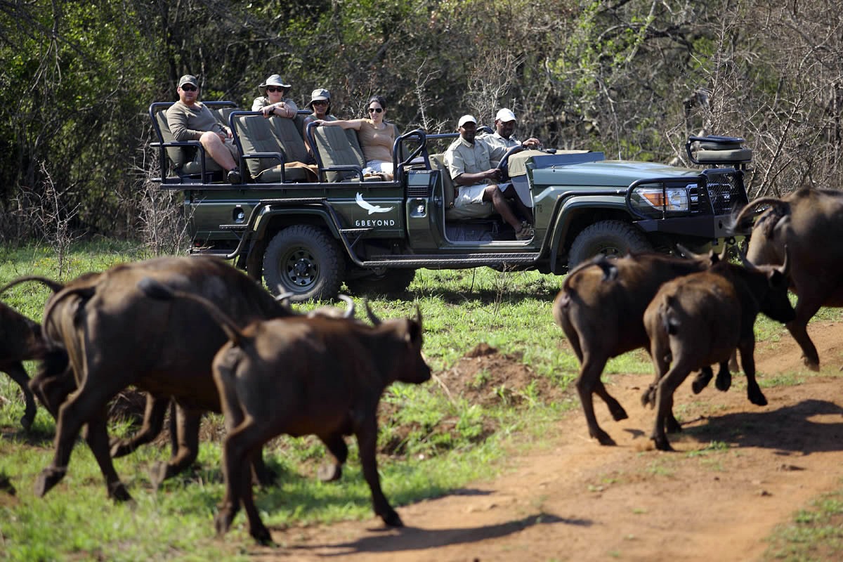 andBeyond Phinda Vlei Lodge en Phinda