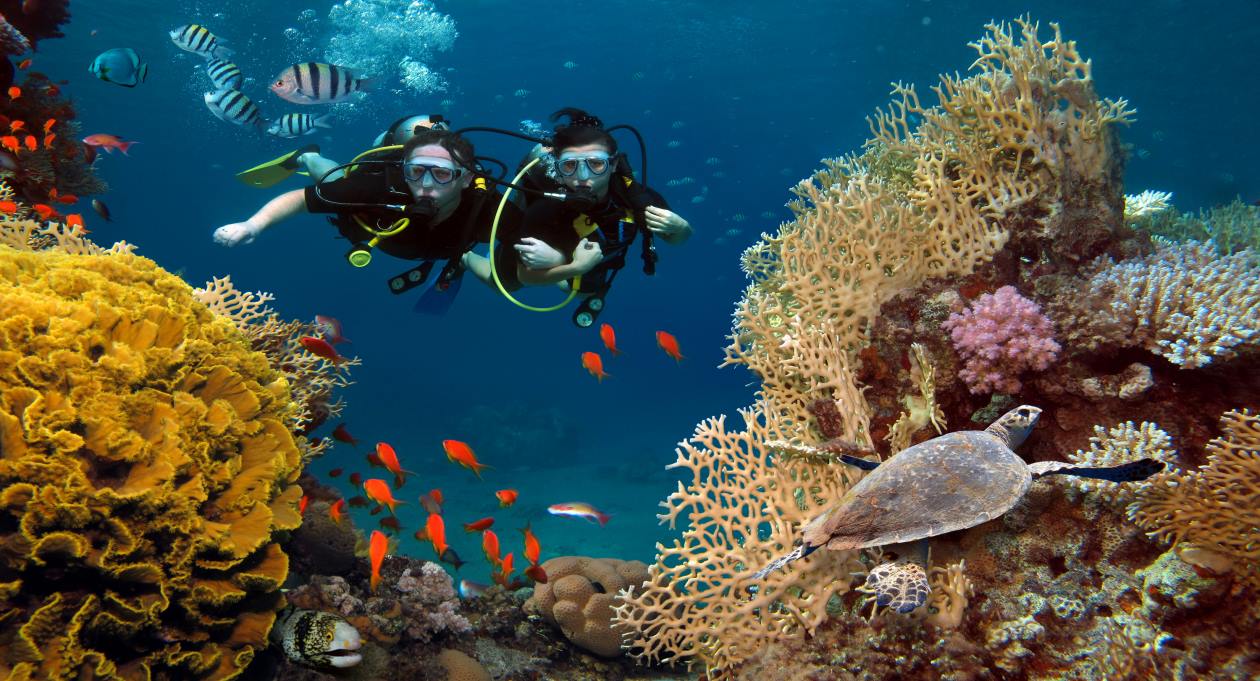 Phu Quoc | LAT.40