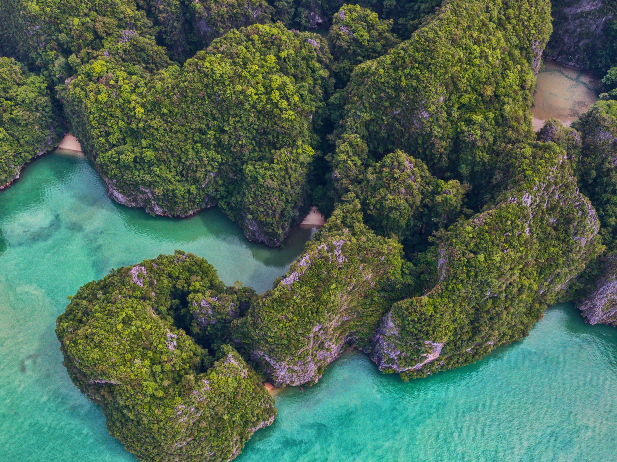 Phuket | LAT.40