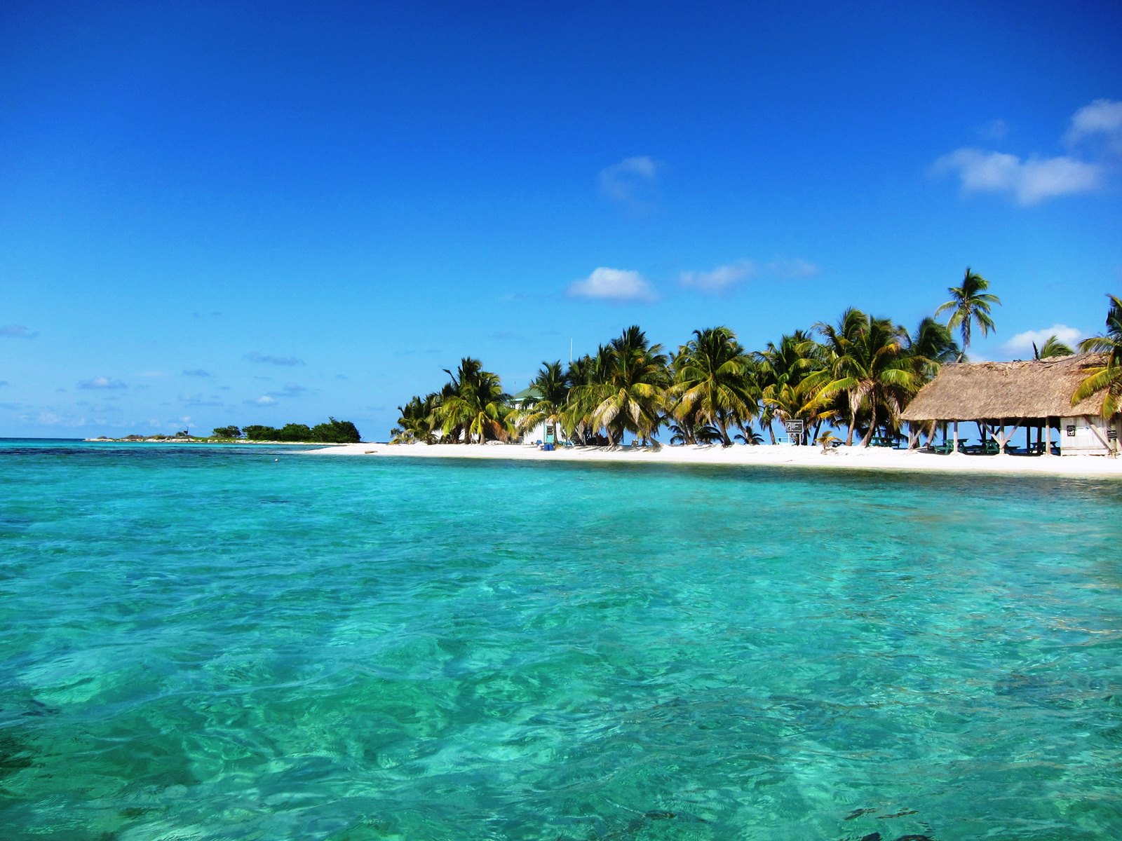 Placencia | LAT.40