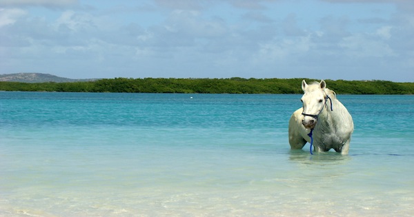 Playa del Carmen | LAT.40