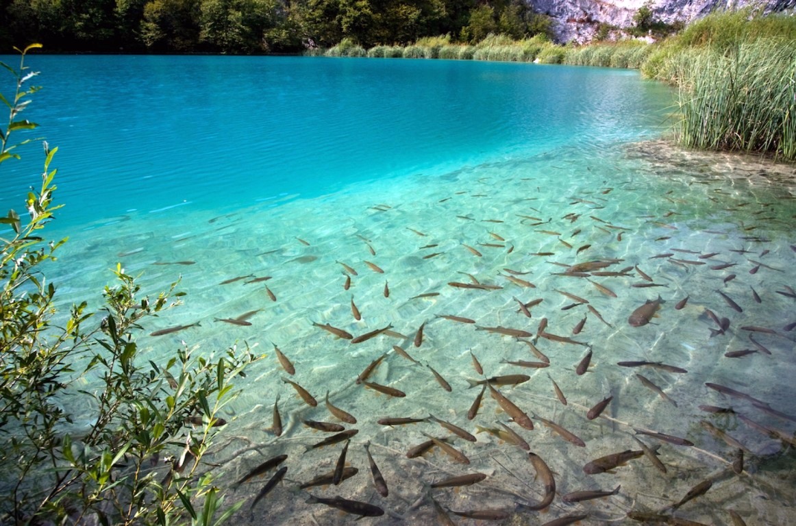 Plitvice | LAT.40