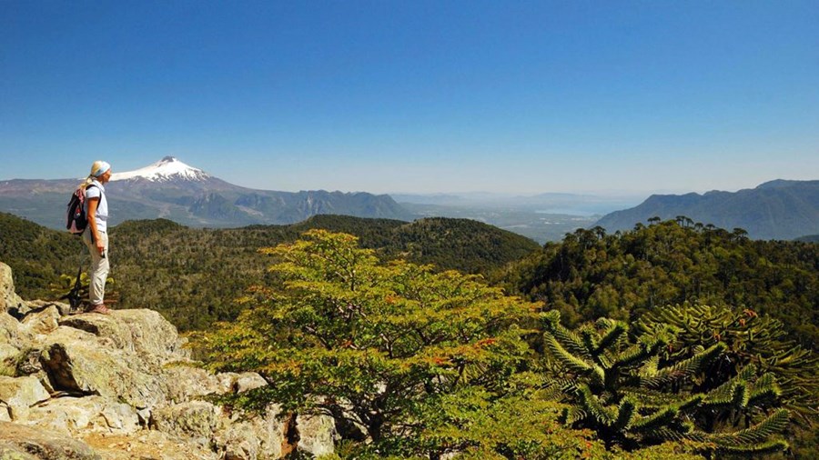 Pucon | LAT.40