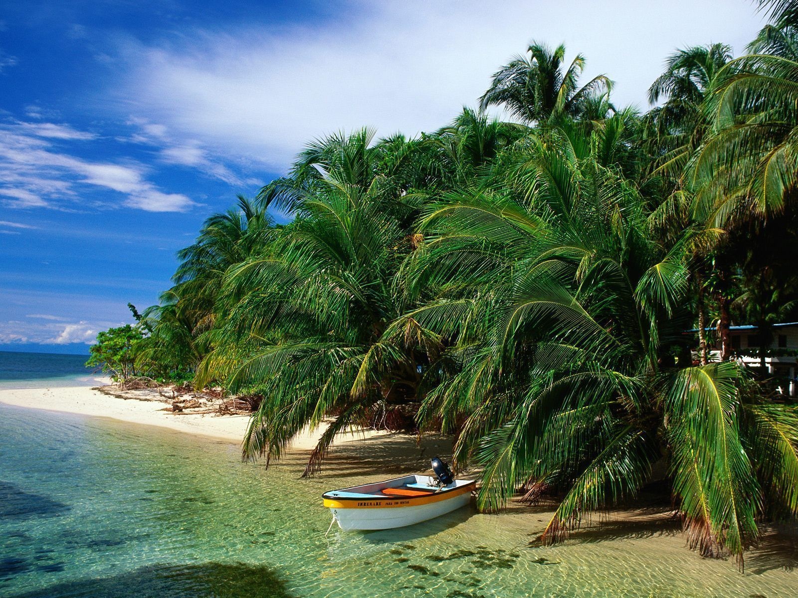 Puerto Viejo | LAT.40