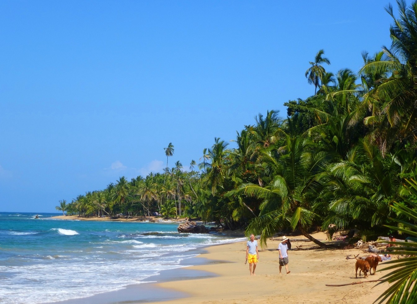 Puerto Viejo | LAT.40