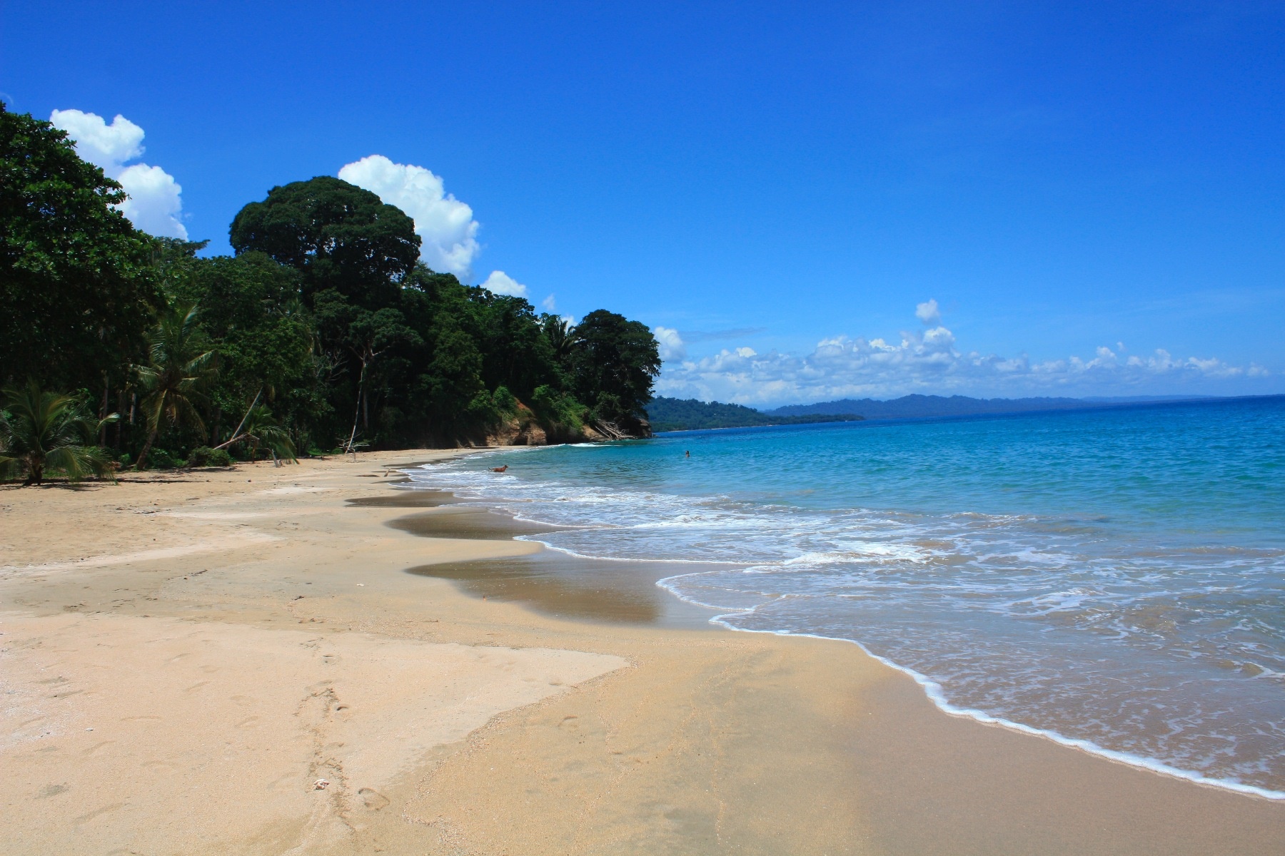 Puerto Viejo | LAT.40