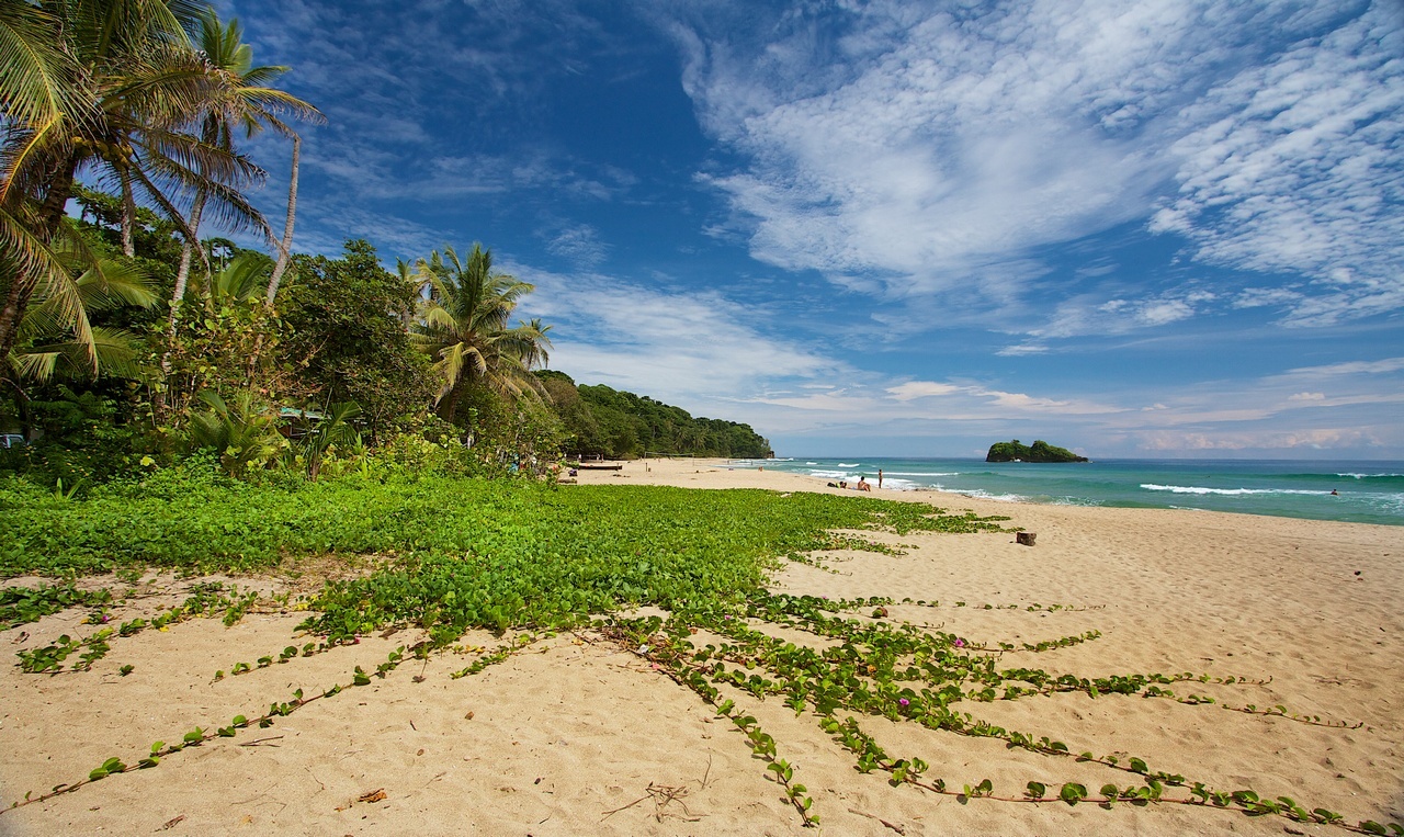 Puerto Viejo | LAT.40