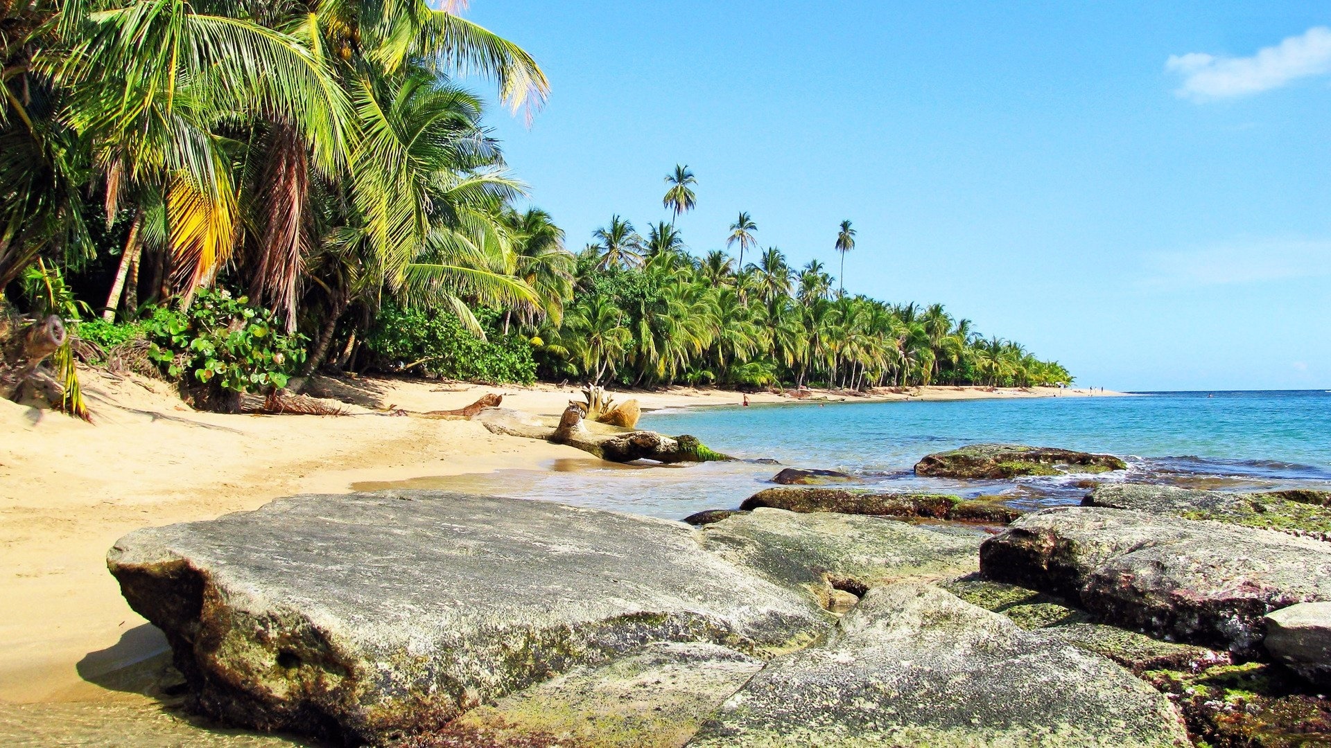 Puerto Viejo | LAT.40