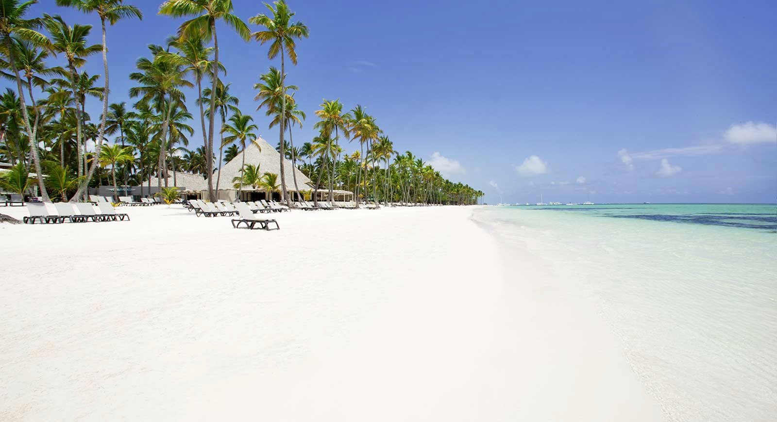 Punta Cana | LAT.40