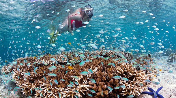 Wakatobi en Raja Ampat