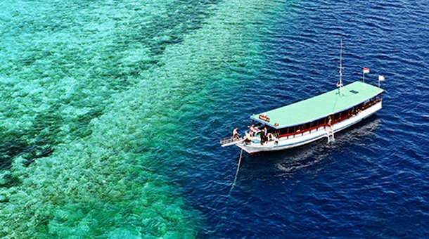 Wakatobi en Raja Ampat