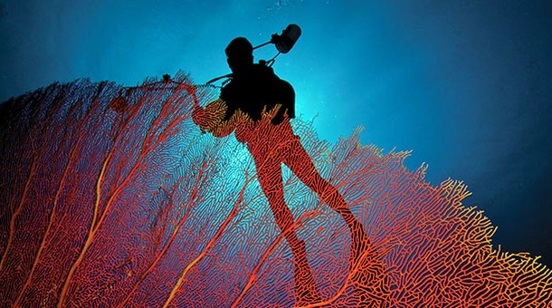 Wakatobi en Raja Ampat