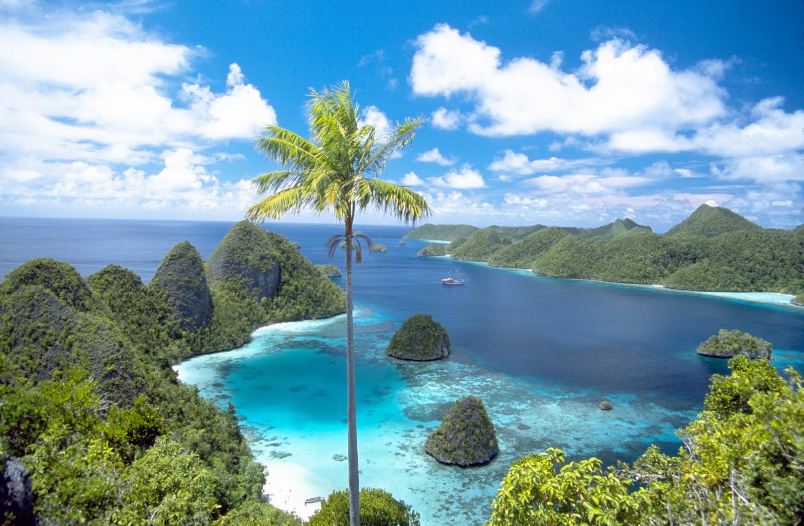 Indonesia | LAT.40