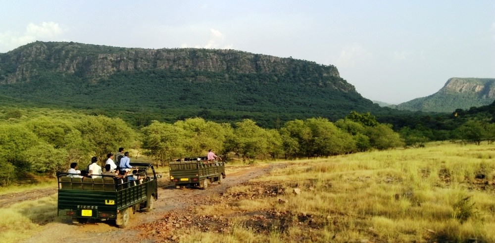 Ranthambore | LAT.40