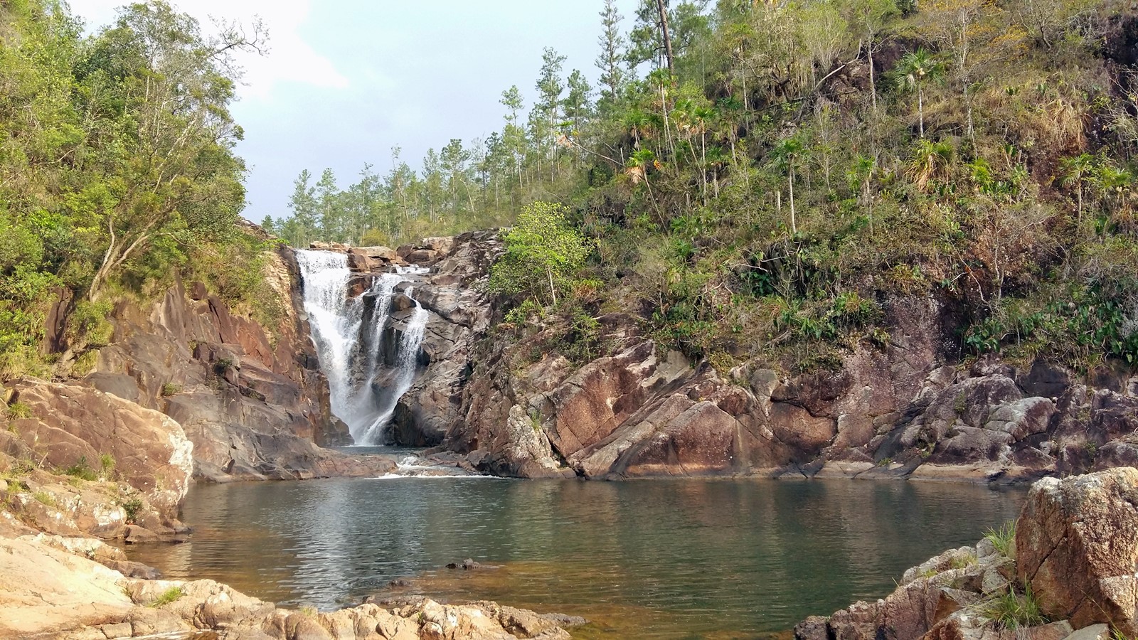 Reserva forestal mountain pine ridge | LAT.40