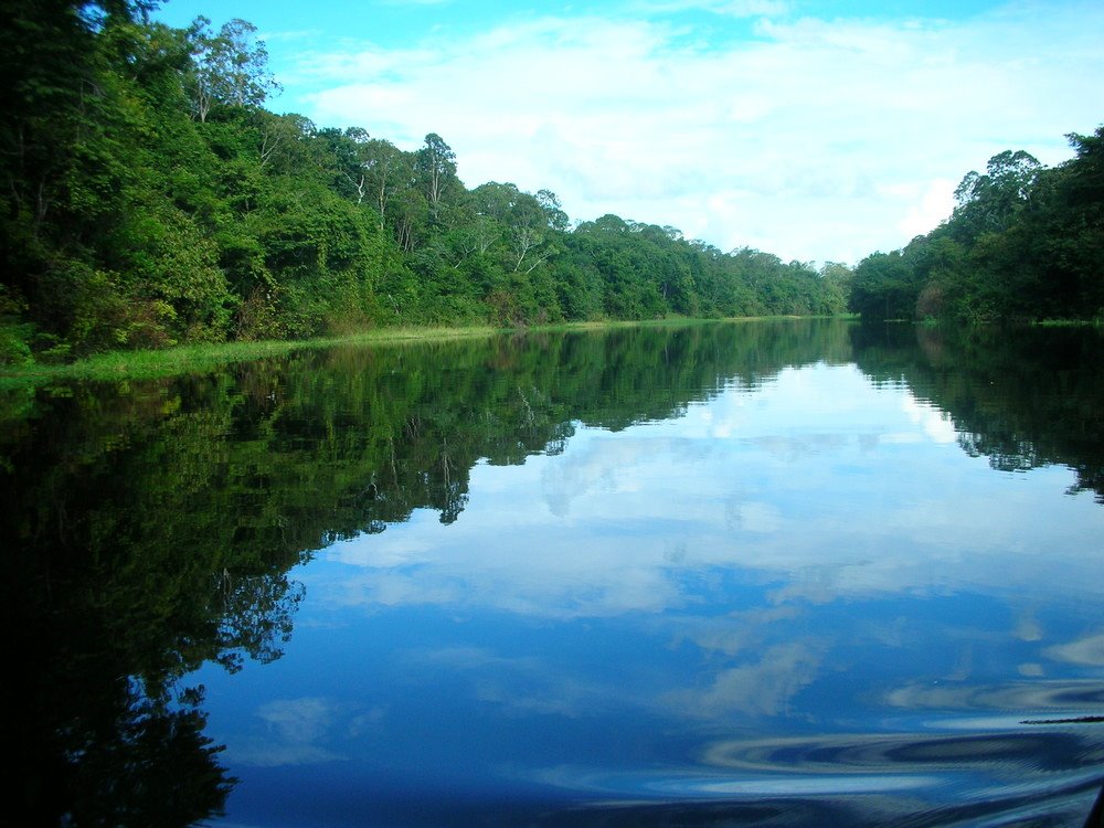 Río Negro | LAT.40