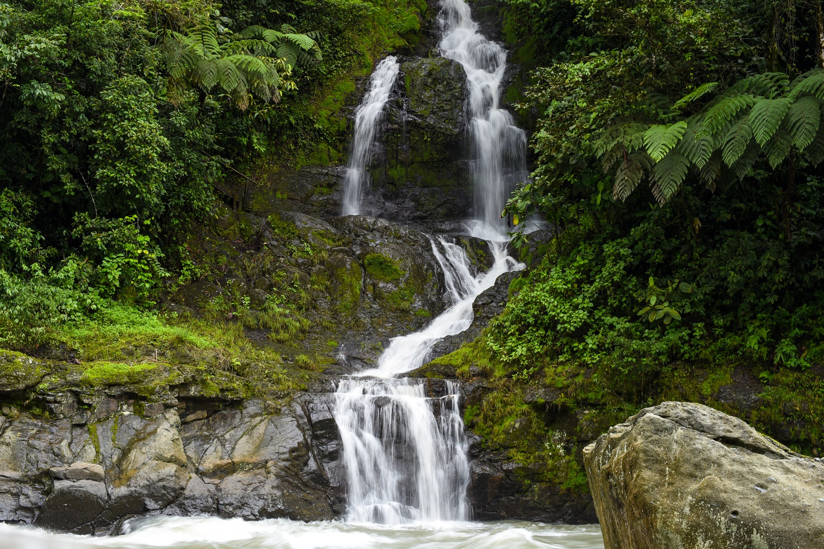Rio Pacuare | LAT.40