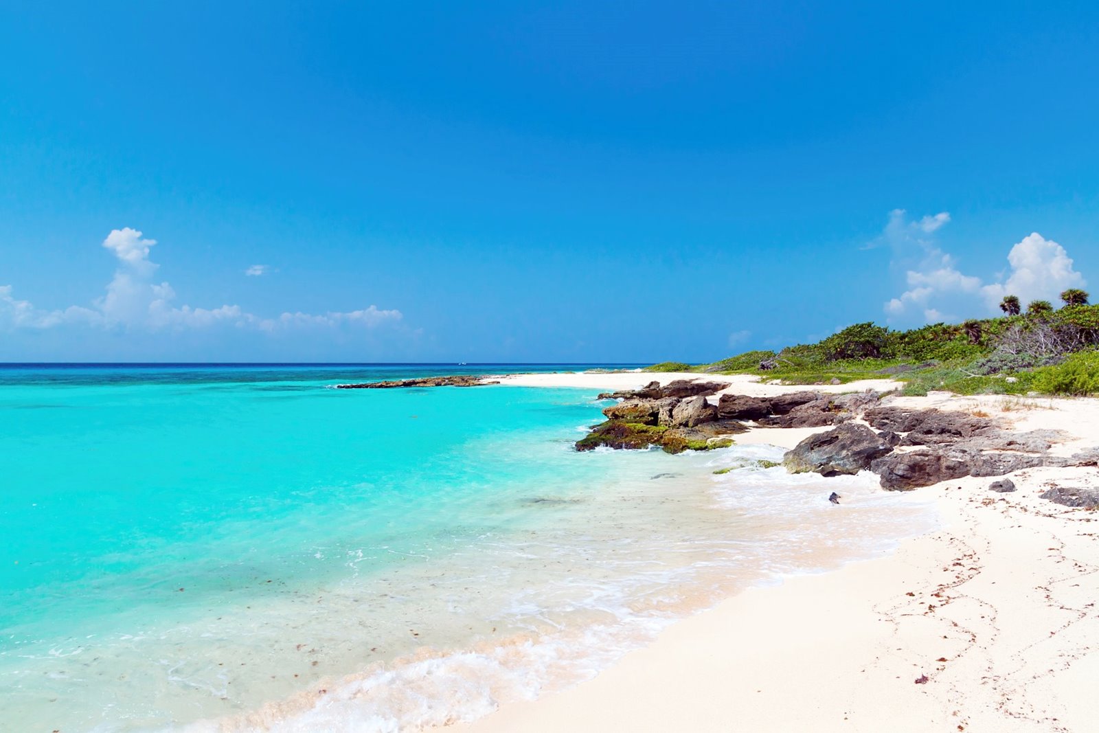 Riviera Maya | LAT.40