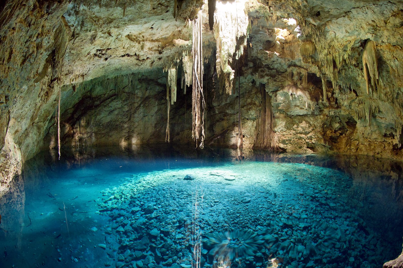 Riviera Maya | LAT.40