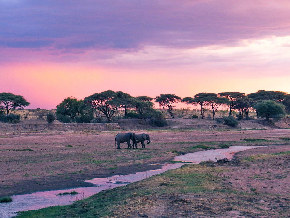 Ruaha