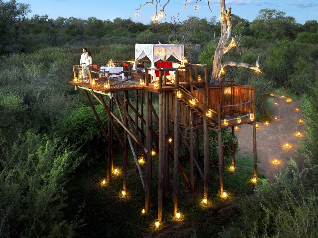 Sabi Sands | LAT.40