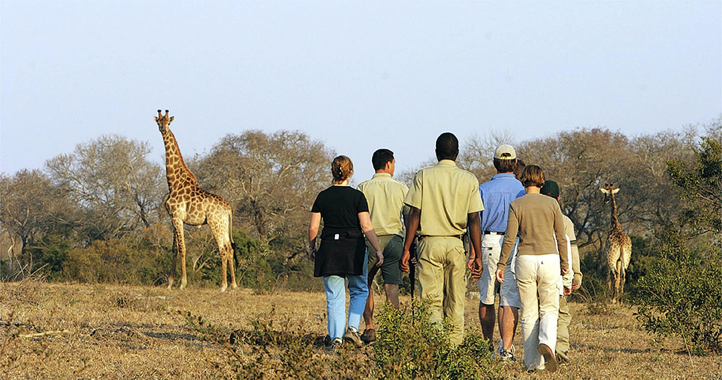 Sabi Sands | LAT.40