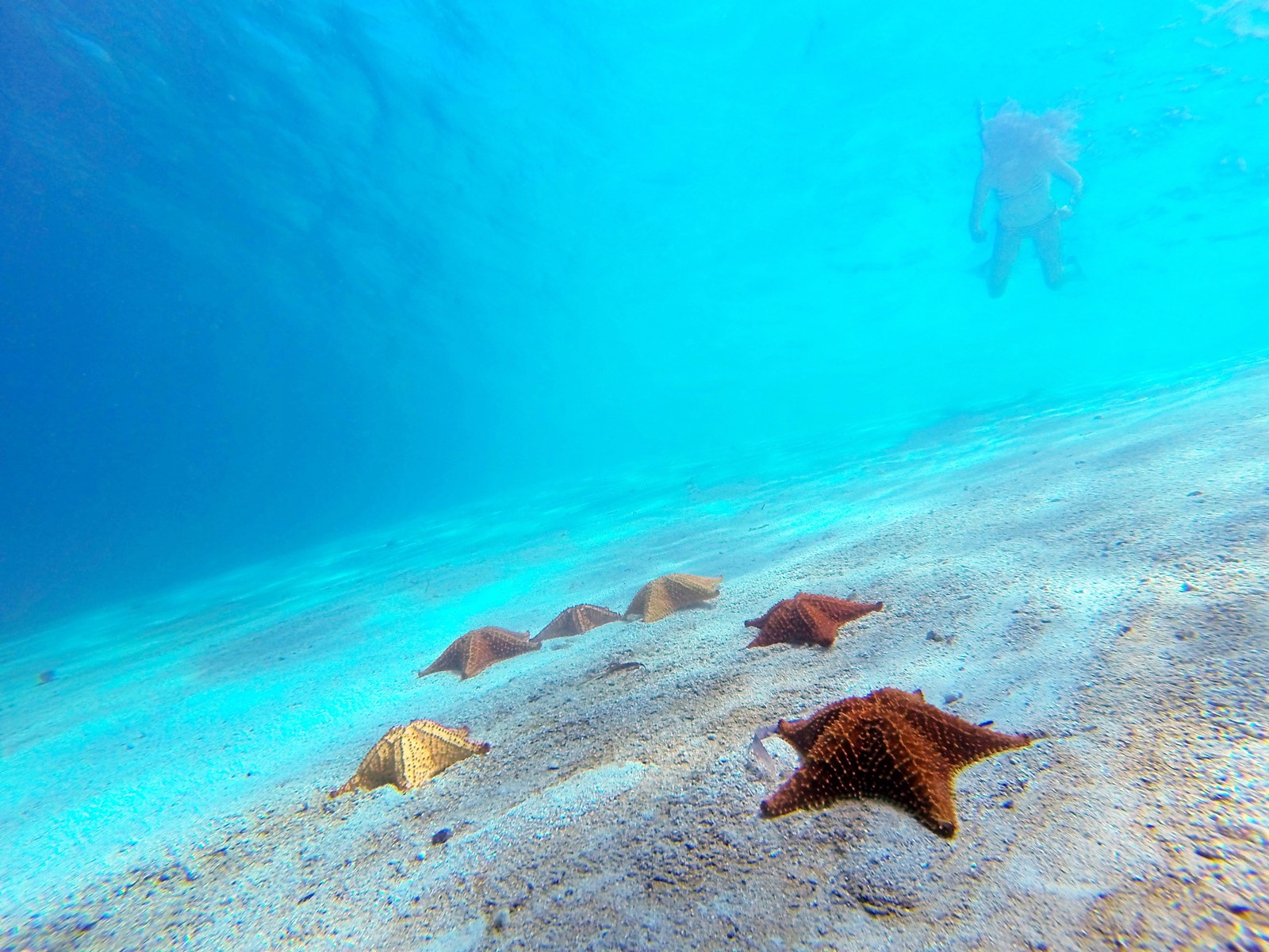 San Blas Islands | LAT.40