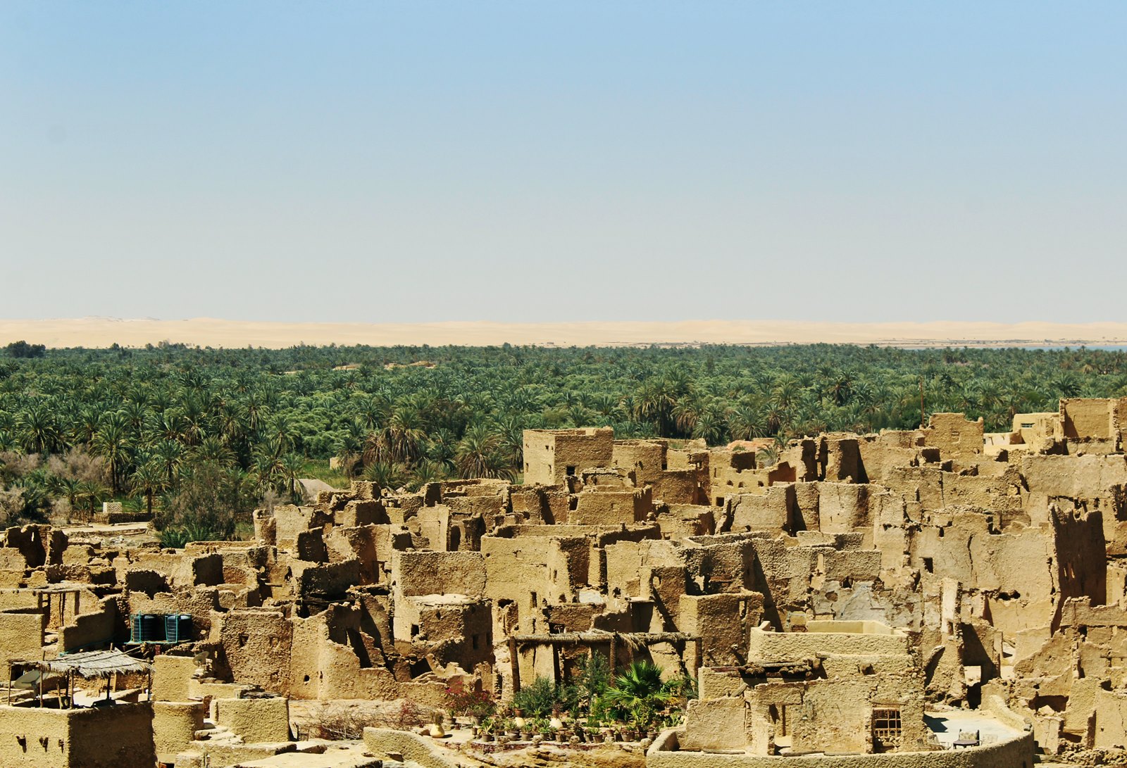 Siwa | LAT.40