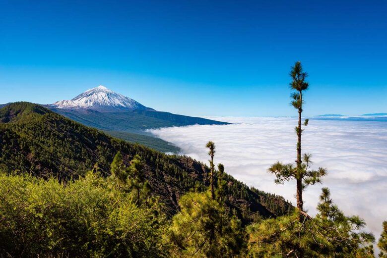 Tenerife | LAT.40
