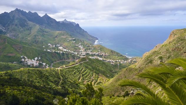 Tenerife | LAT.40